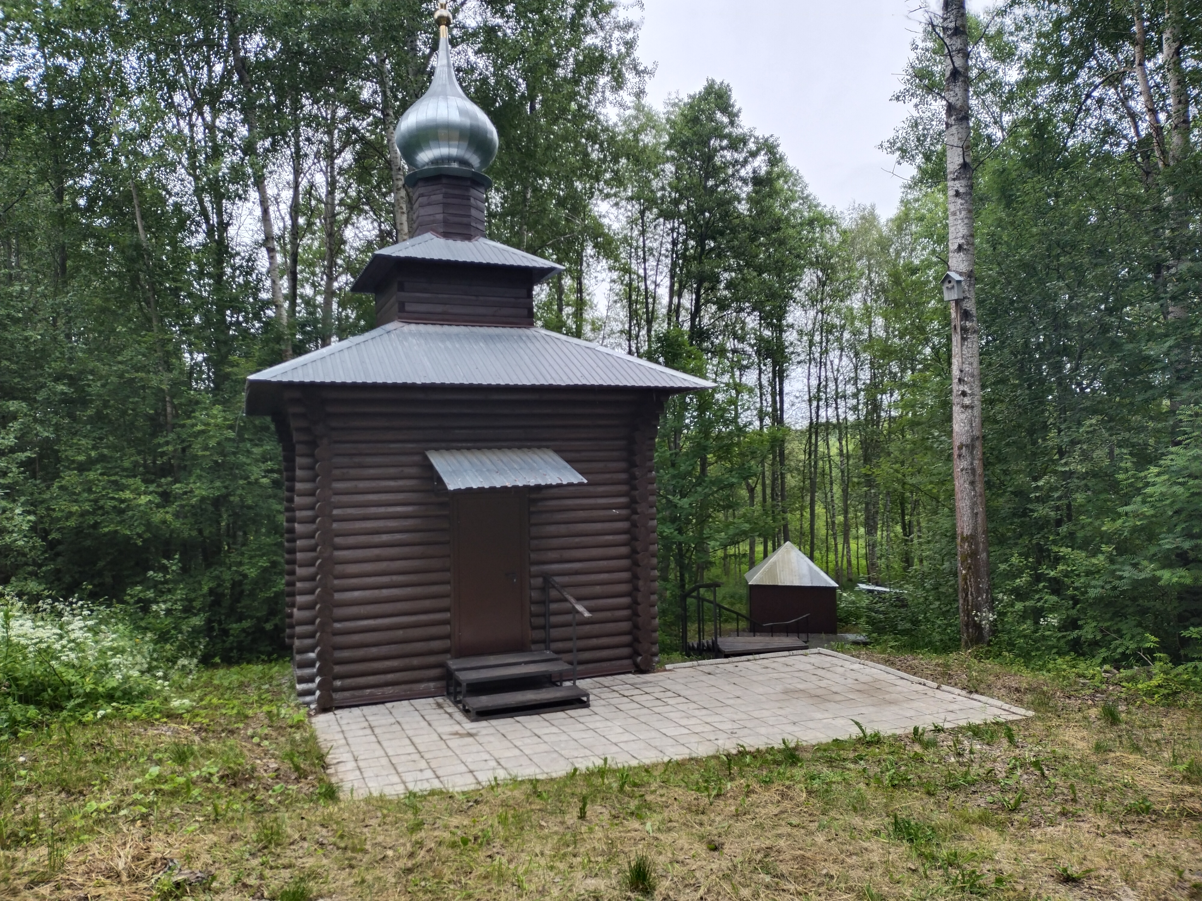 Родник, святой источник Тихона Луховского деревня Болгачиново.