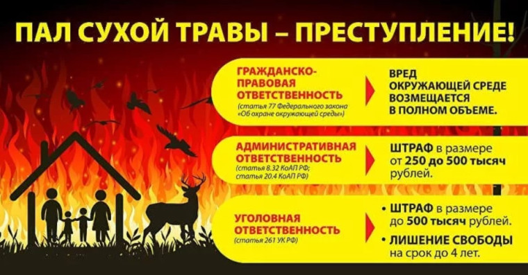 Пал травы опасен! Соблюдайте правила пожарной безопасности!. Пал травы опасен! Соблюдайте правила пожарной безопасности!.
